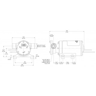 POMPA AUTOADESCANTE WATER PUPPY