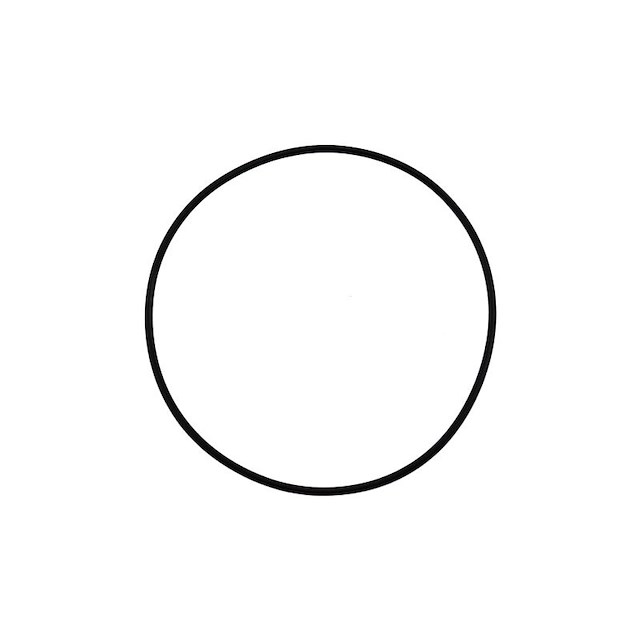 O' RING TOILET 43990-0066