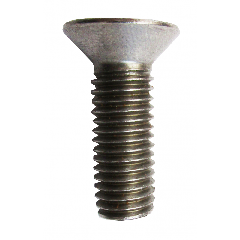 BULLONE TESTA PIANA SVASATA TAGLIO CROCE