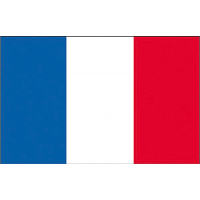 BANDIERA FRANCIA