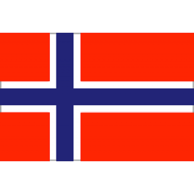 BANDIERA NORVEGIA CM.20X30