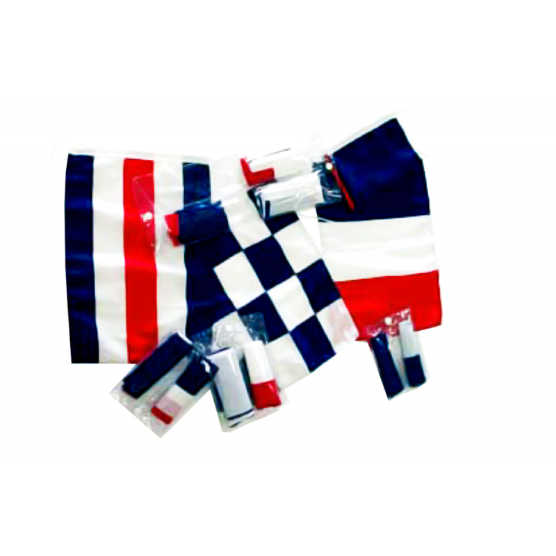 BANDIERE FRANCIA REGOLAMEN.30x40