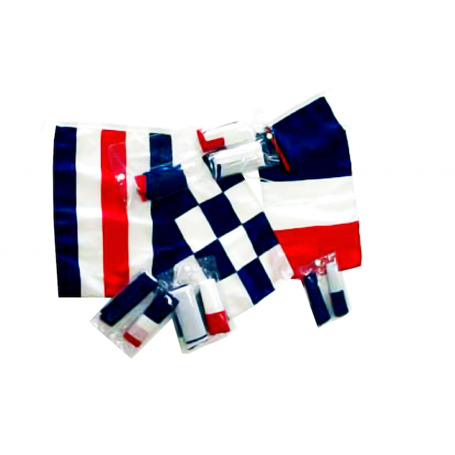 BANDIERE FRANCIA REGOLAMEN.30x40