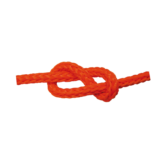 TRECCIA GALLEGG. ARANCIO